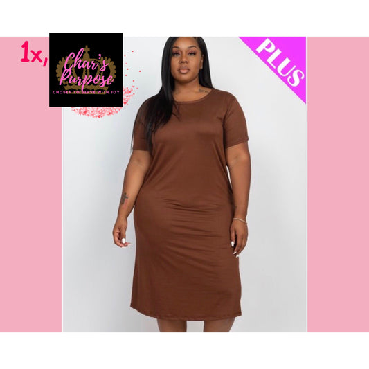 Char’s Plus Delight Dress 💞